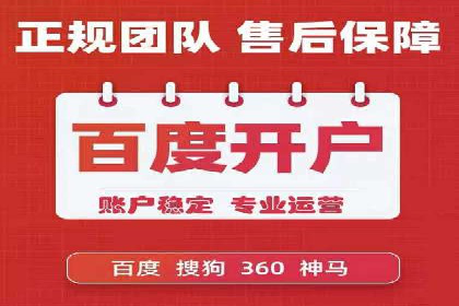 SEO与SEM优化案例：打造行业领先品牌